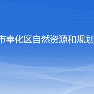 宁波市奉化区自然资源和规划分局各部门负责人和联系电话