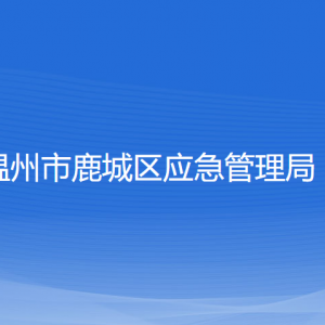 温州市鹿城区应急管理局各部门负责人和联系电话