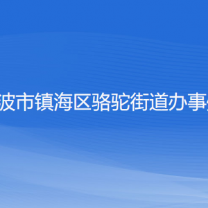 宁波市镇海区骆驼街道办事处各部门负责人和联系电话