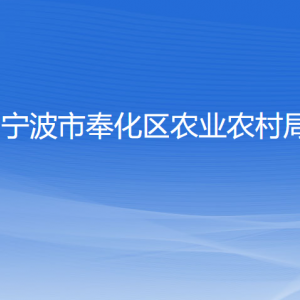 宁波市奉化区农业农村局各部门负责人和联系电话