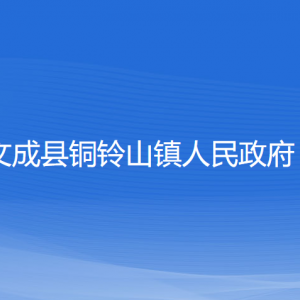 文成县铜铃山镇政府各部门负责人和联系电话