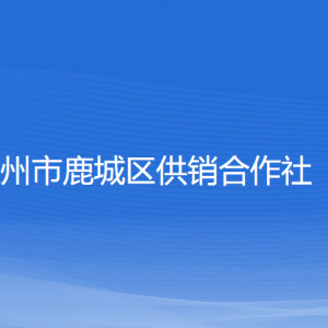 温州市鹿城区供销合作社各部门负责人和联系电话