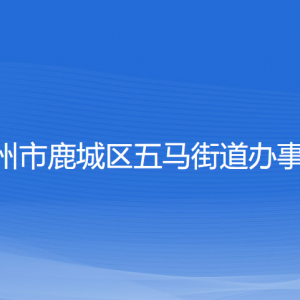 温州市鹿城区五马街道办事处各部门负责人和联系电话