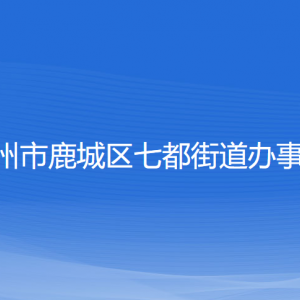 温州市鹿城区七都街道办事处各部门负责人和联系电话