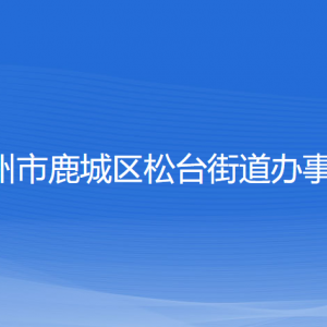 温州市鹿城区松台街道办事处各部门负责人和联系电话