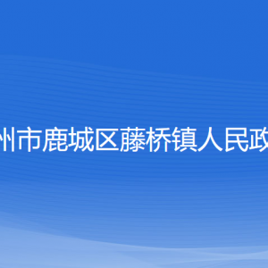 温州市鹿城区藤桥镇政府各部门负责人和联系电话