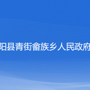 平阳县青街畲族乡人民政府各部门负责人和联系电话