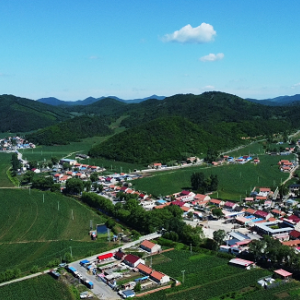 辽阳市弓长岭区政府各职能部门地址工作时间和联系电话