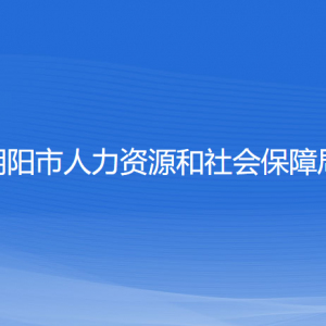 朝阳市人力资源和社会保障局各部门负责人和联系电话