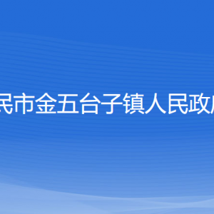 新民市金五台子镇政府各职能部门负责人和联系电话