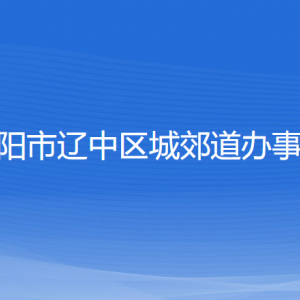 沈阳市辽中区城郊街道便民服务中心各办事窗口咨询电话
