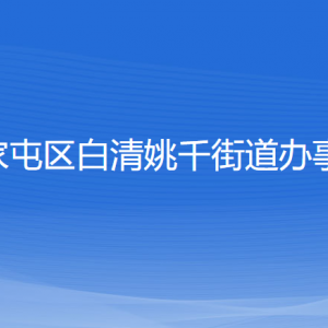 沈阳市苏家屯区白清姚千街道政务服务中心窗口咨询电话