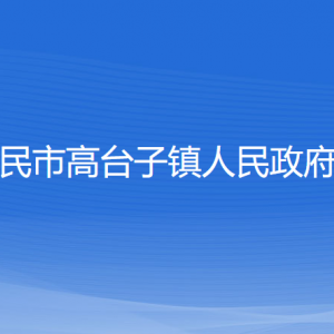 新民市高台子镇政府各部门负责人和联系电话