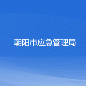 朝阳市应急管理局各部门对外公开电话