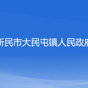 新民市大民屯镇政府各部门负责人和联系电话