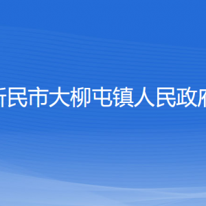 新民市大柳屯镇政府各部门负责人和联系电话