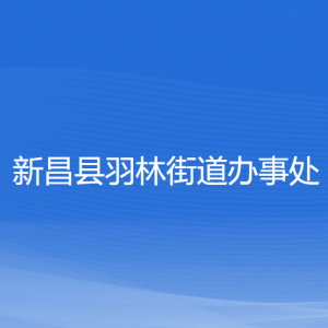 新昌县羽林街道办事处各部门负责人和联系电话