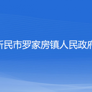 新民市罗家房镇政府各部门负责人和联系电话