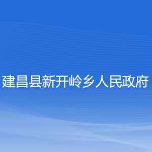 建昌县新开岭乡人民政府各部门对外联系电话