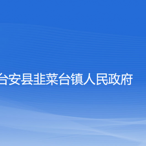 台安县韭菜台镇政府各部门工作时间及联系电话