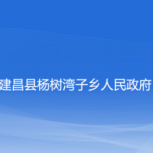 建昌县杨树湾子乡人民政府各部门联系电话