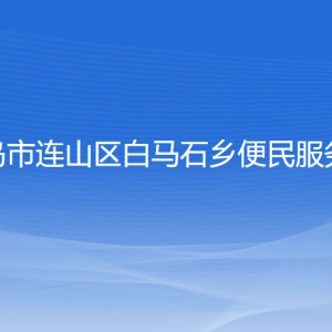 葫芦岛市连山区白马石乡政府各部门联系电话