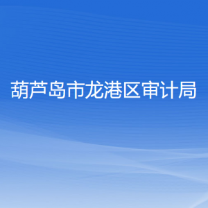 葫芦岛市龙港区审计局各部门对外联系电话