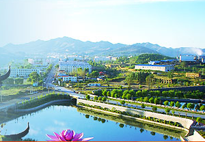 杨家杖子经济开发区管委会各职能部门负责人和联系电话