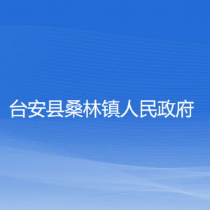 台安县桑林镇政府各部门工作时间及联系电话