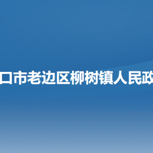 营口市老边区柳树镇政府各职能部门负责人和联系电话