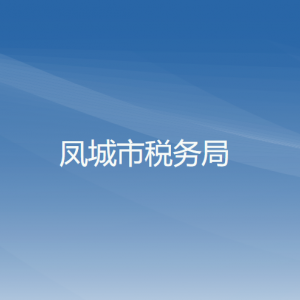 凤城市税务局办税服务厅地址办公时间及纳税咨询电话