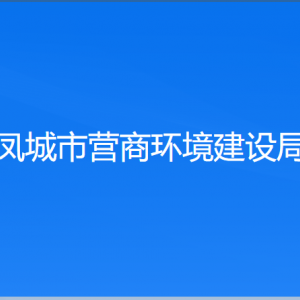 凤城市营商环境建设局各部门对外联系电话