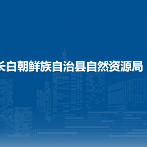 长白朝鲜族自治县自然资源局各部门职责及联系电话