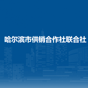哈尔滨市供销合作社联合社各部门负责人和联系电话