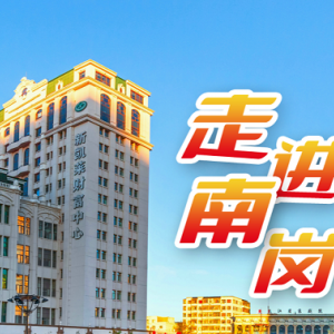 哈尔滨市南岗区政府各职能部门地址工作时间和联系电话