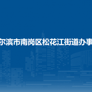 哈尔滨市南岗区松花江街道办事处各部门联系电话