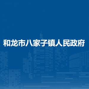 和龙市八家子镇政府各职能部门负责人及联系电话