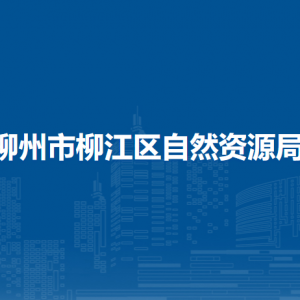 柳州市柳江区自然资源局各部门负责人和联系电话