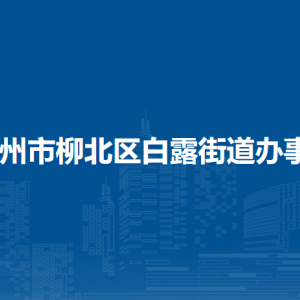 柳州市柳北区白露街道办事处各部门工作时间及联系电话