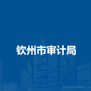 钦州市审计局各部门负责人和联系电话