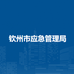 钦州市应急管理局各部门负责人和联系电话