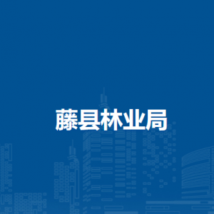 藤县林业局各部门负责人和联系电话