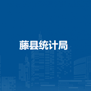 藤县统计局各部门负责人和联系电话