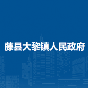 藤县大黎镇政府各部门负责人和联系电话