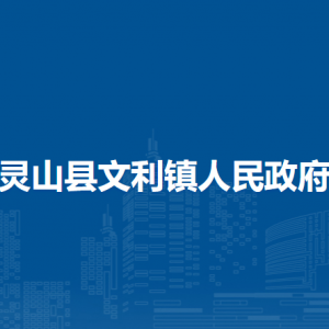 灵山县文利镇政府各部门负责人和联系电话