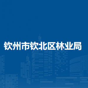 钦州市钦北区林业局各部门工作时间及联系电话