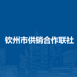 钦州市供销合作联社各部门负责人和联系电话