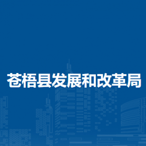 苍梧县发展和改革局各部门负责人和联系电话