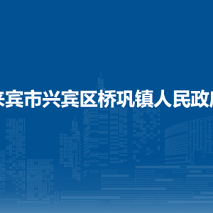 来宾市兴宾区桥巩镇政府各部门负责人和联系电话