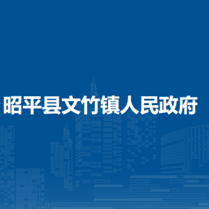 昭平县文竹镇政府各部门负责人和联系电话